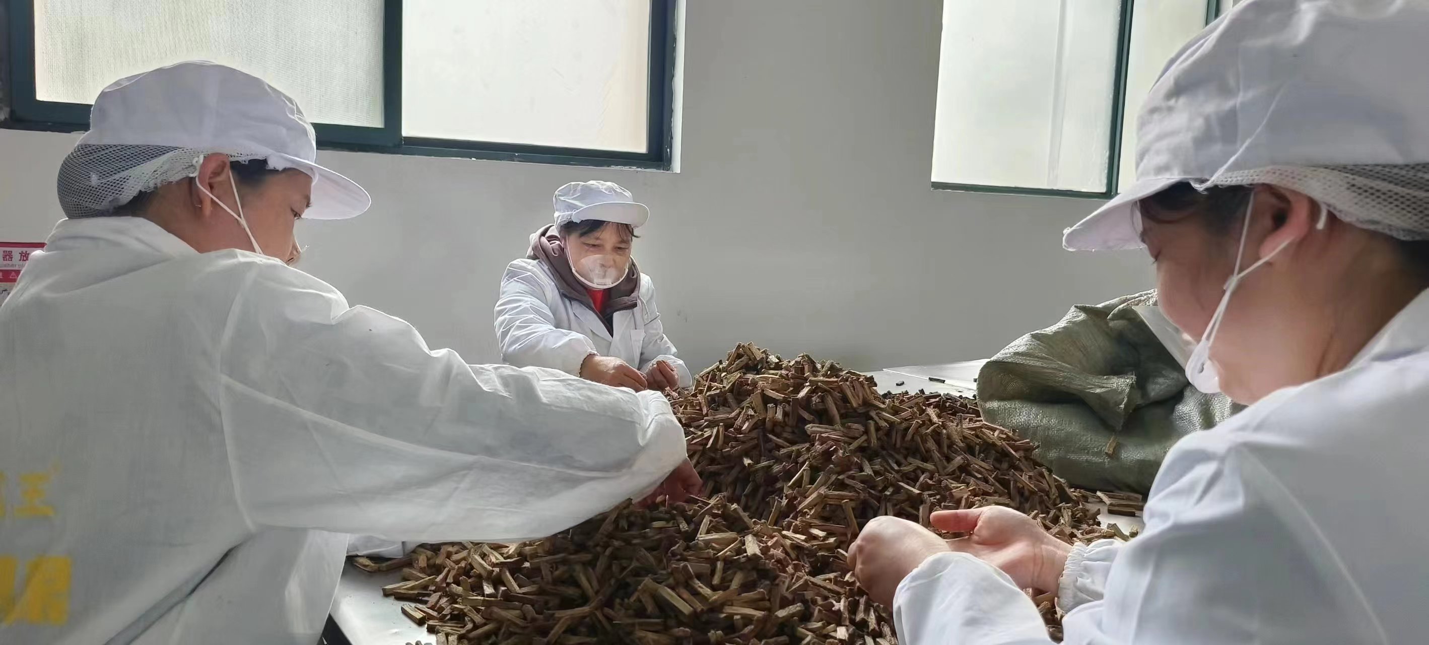 葛根品牌,葛根廠家,葛根公司,葛根生產