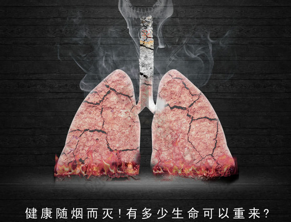 葛根品牌,葛根公司,生產(chǎn)葛根,葛根基地