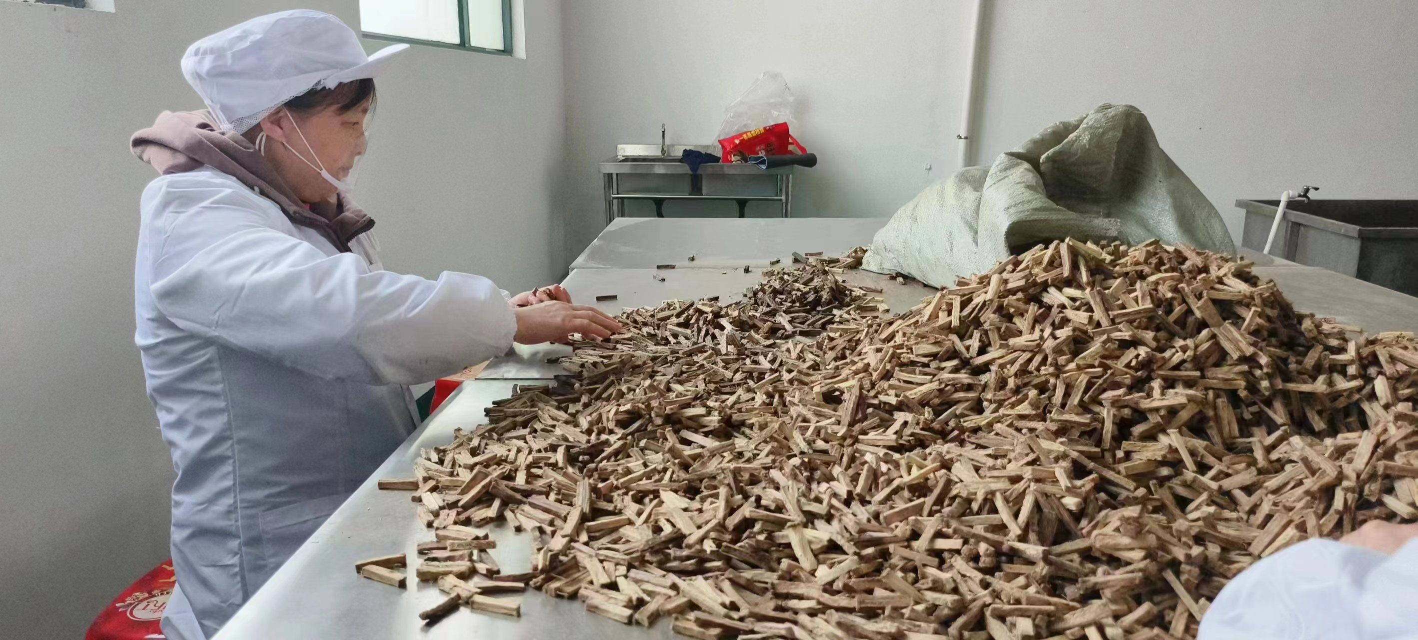 葛根基地,葛根條廠家,葛根項目,葛根咀嚼,口嚼葛根